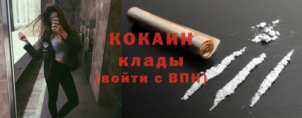 гидра Алексеевка