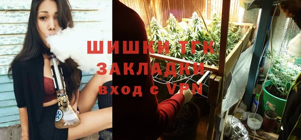 гидра Алексеевка